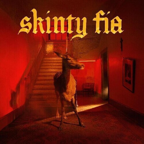 Fontaines D.C. - Skinty Fia LP (red vinyl)