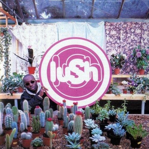 Lush - Lovelife LP (clear vinyl)