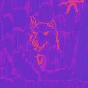 Dehd - Poetry LP