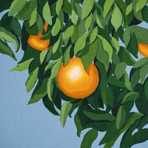 Tyler Ballgame - For the First Time, Again LP 