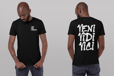 VENI VIDI VICI