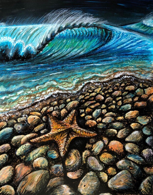 Cobblestone Asteroidea