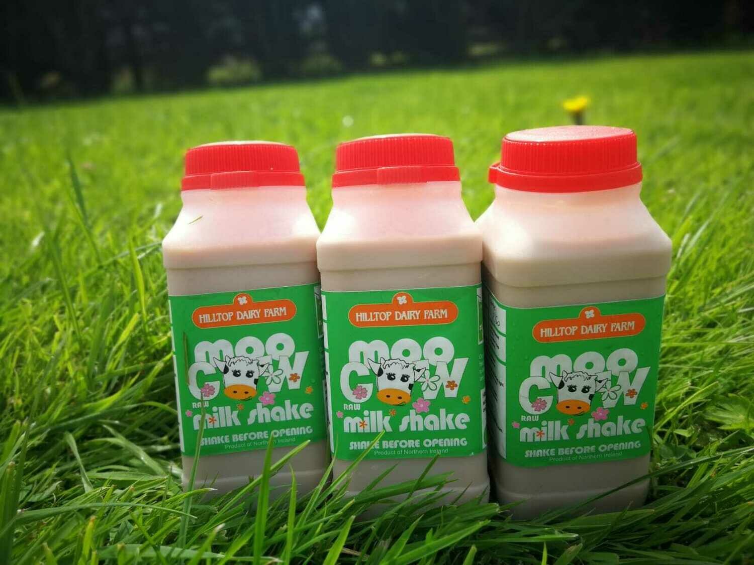 Fresh Moo Cow Chocolate Milkshake - 250ml