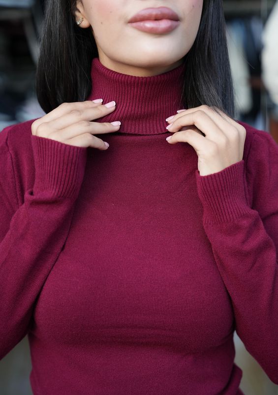 Soft Wool Turtle-Neck Top