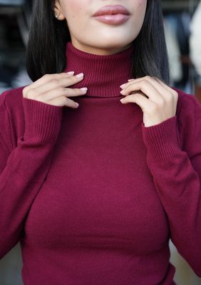 Soft Wool Turtle-Neck Top