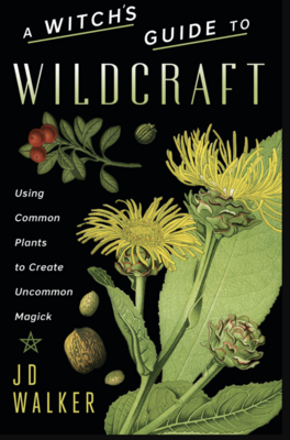 A Witch's Guide to Wildcraft, Using Common Plants to Create Uncommon Magick