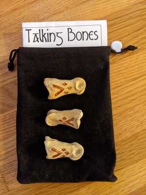 Talking Bones by Melissa