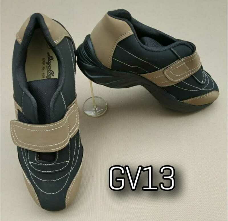 GV13