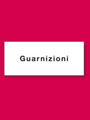 GUARNIZIONI