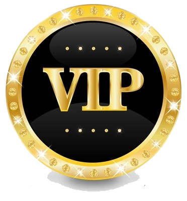12 mois VIP OTT + 3 mois gratuit