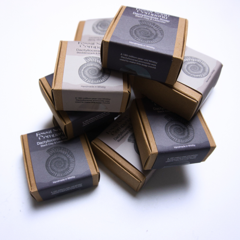 TWELVE INDIVIDUALLY-BOXED DACTYLIOCERAS SOAPS - FOSSIL SOAP COMPANY