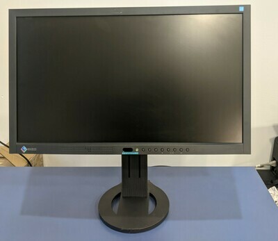 Monitor EV2313W EIZO Ricondizionato LCD 23
