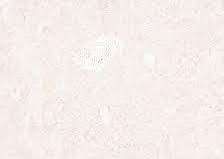 LOSA-CORALINA BLANCO SATINADO 36X36