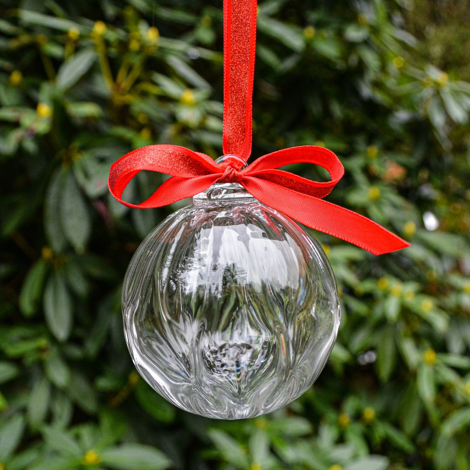 Ornament - Megan Stelljes