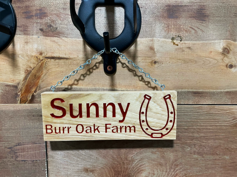 Personalized Wooden Horse Stall Sign | Horse Shoe Name Plate | Farm Sign | Custom Horse Stall Name Plates