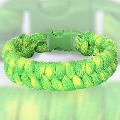 Great Hue Bracelet