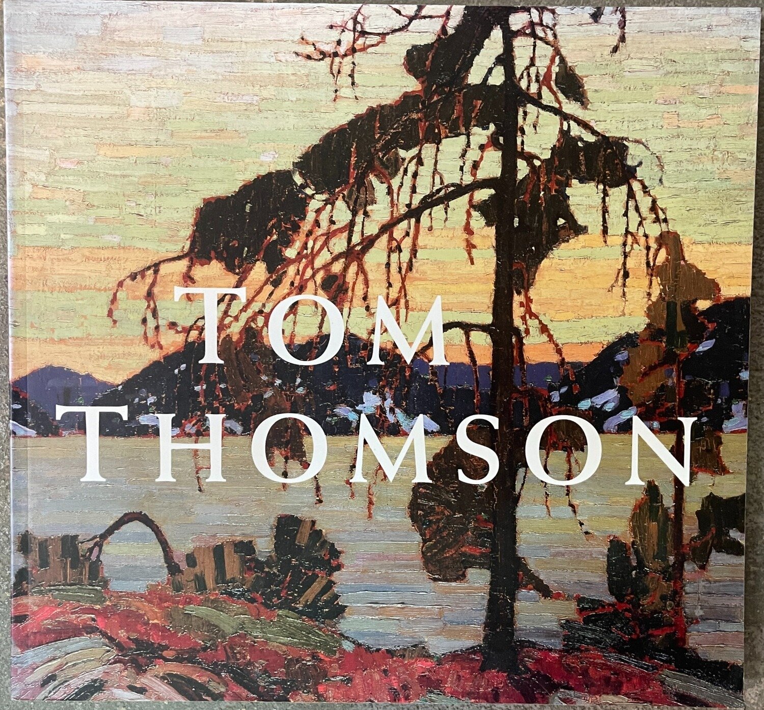 Tom Thomson - Art Gallery of Ontario