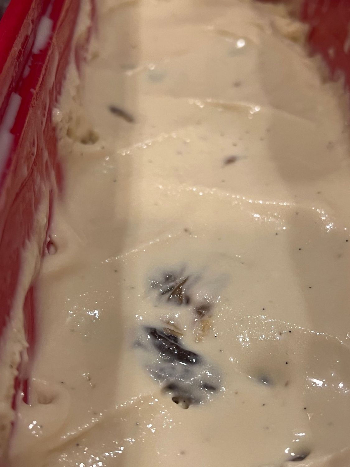 Rum Raisin ice cream with Carmel swirl 32oz