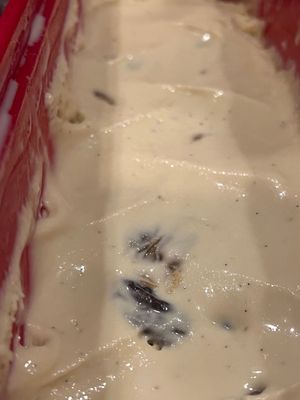 Rum Raisin ice cream with Carmel swirl 12oz
