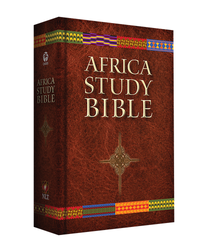 Africa Study Bible
