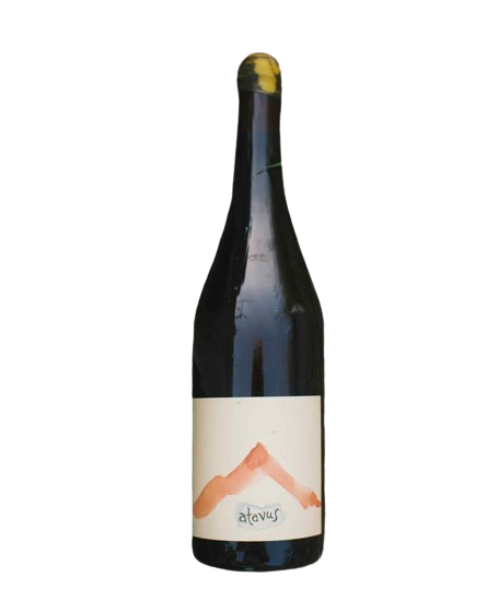 Hiyu Tzum Perennial ATAVUS White