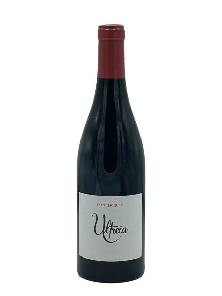 Raul Perez Saint Jacques Ultreia Bierzo