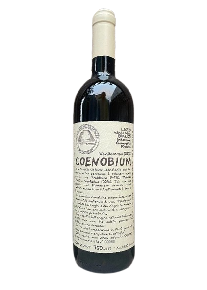 Monastero Suore Coenobium Bianco