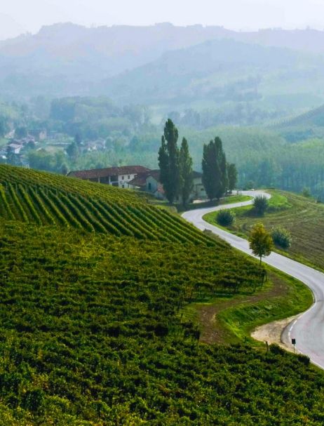 Piedmont Wine Class 3.19.26