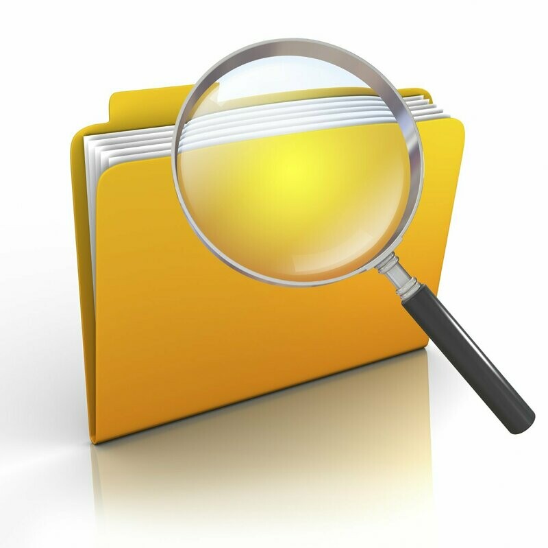Existing EHS Documentation Review *per hour