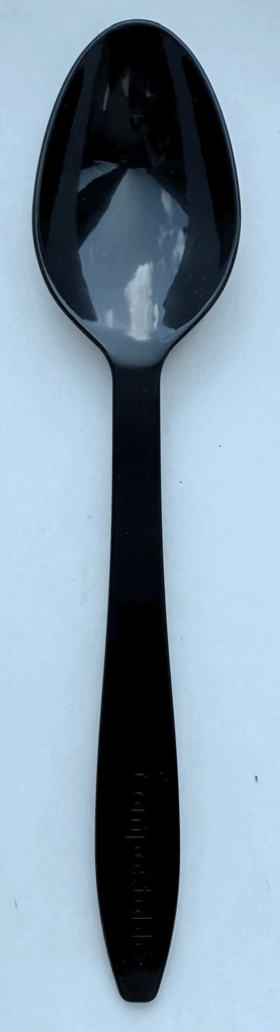 6&quot; Spoon Compostable Black color