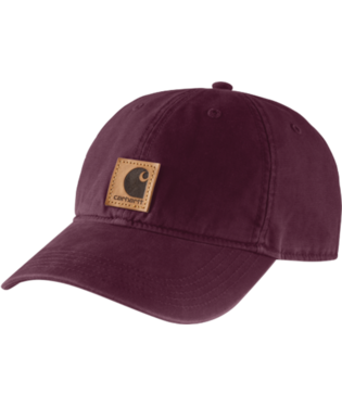 100289 CAP V26