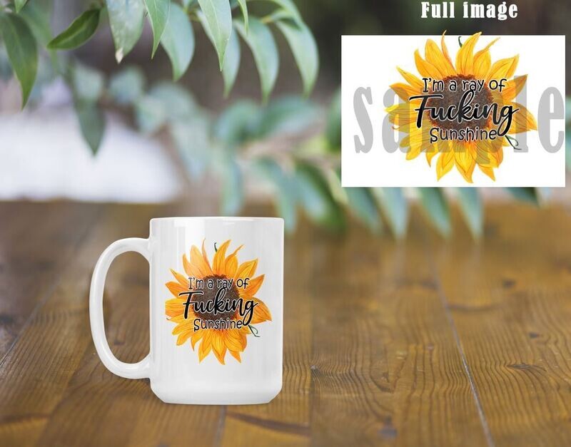 I&#39;m a ray of Fucking Sunshine  Mug