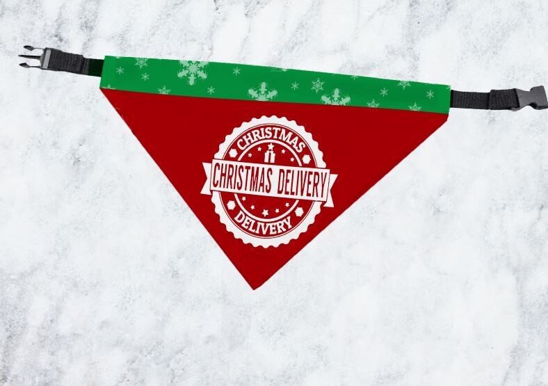 Special Delivery Pet Scarf ( collar not included)