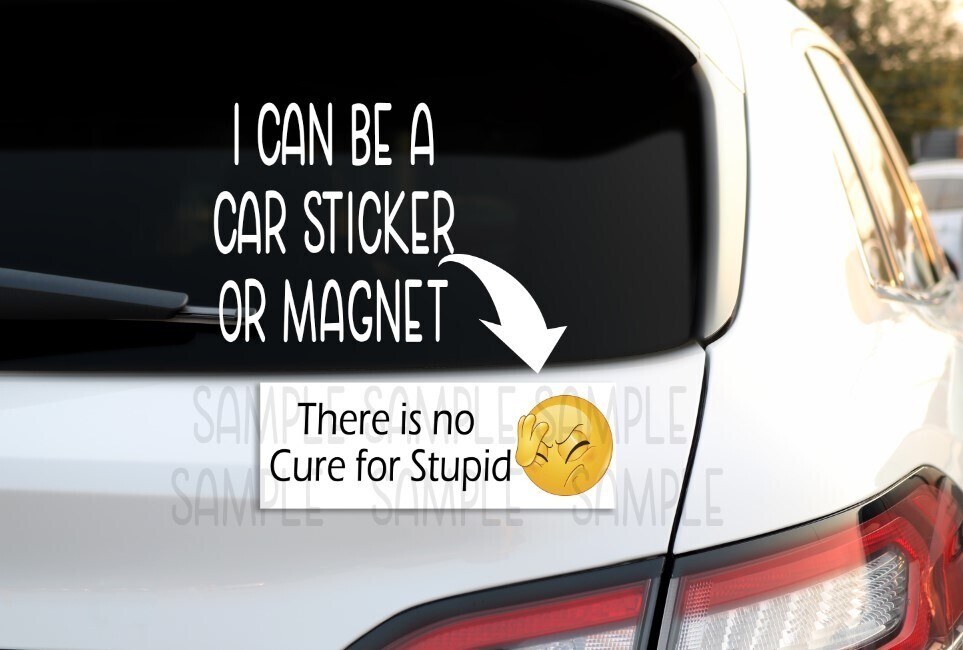 There is no cure for stupid Decal and Magnet