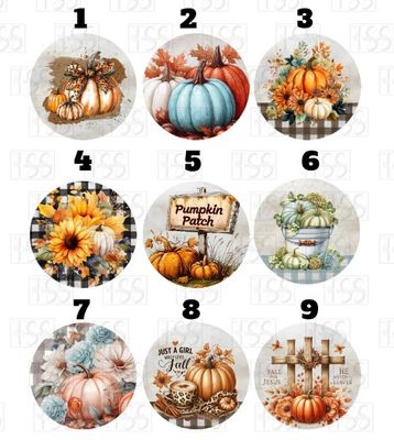Car Coaster and Car Freshener Bundle Set in Either Apple or Pumpkin