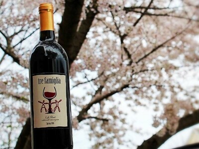 2016 Spring Life Blood (Cabernet Sauvignon) 2016 Spring Life Blood (Cabernet Sauvignon)