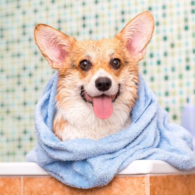 Skincare Bundles