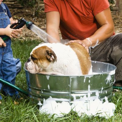Gentle Cleansing Solutions