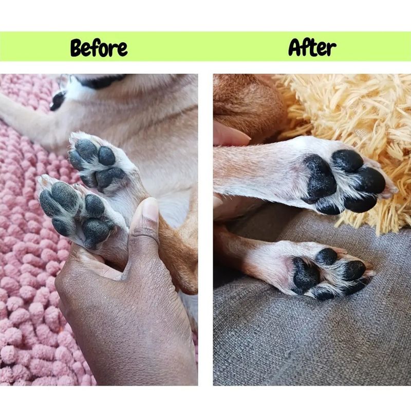Paw Pad Protection Wax