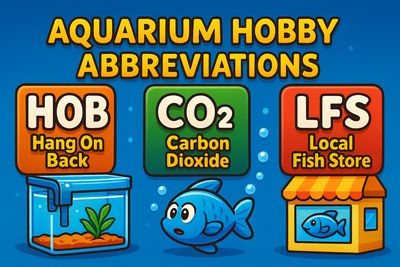 Common Abbreviations in the Aquarium Hobby