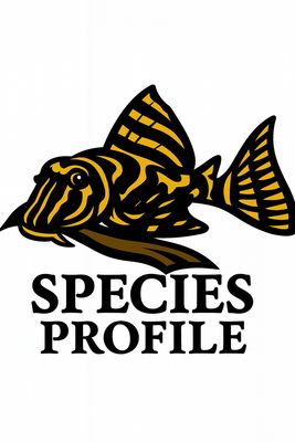 Freshwater Fish Species Profile