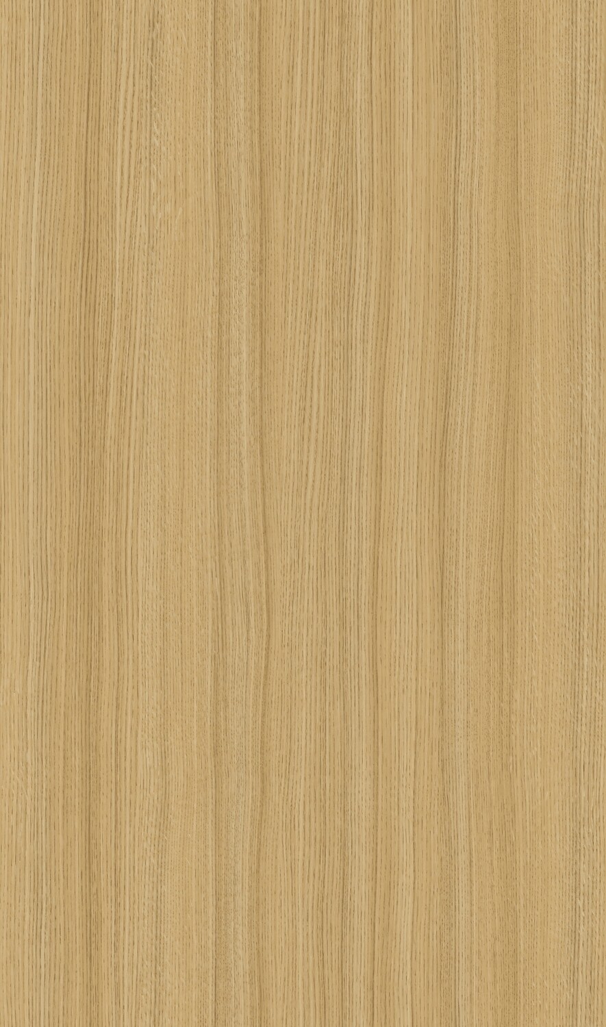 Filo Pre encolado Melaminico ROBLE AMERICANO 22mm. x 50m. (Caja: 1 ROLLO)