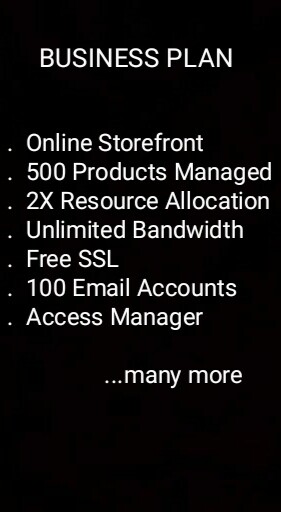 Business Plan