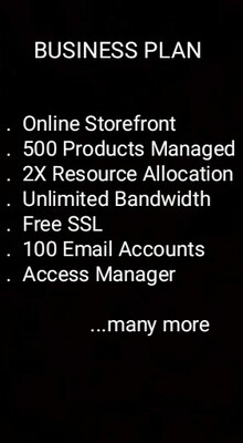 Business Plan