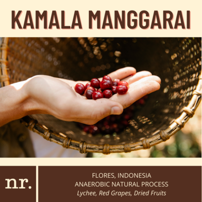 Kamala Manggarai (Anaerobic Natural) **Special Price**