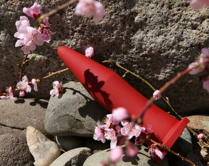 Tantus  Inner Band Trainer