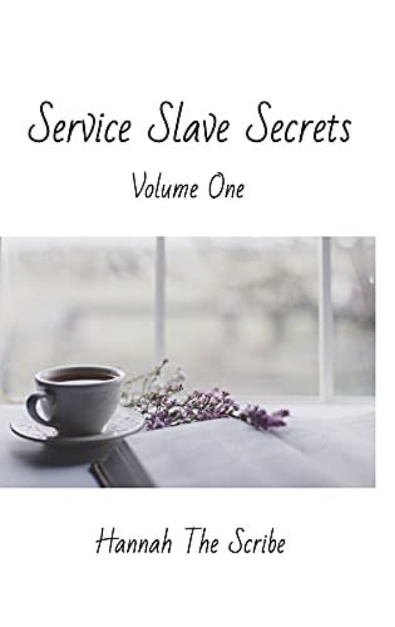 Service Slave Secrets: Volume One - Ebook