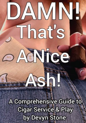 DAMN! That's A Nice Ash! - Ebook