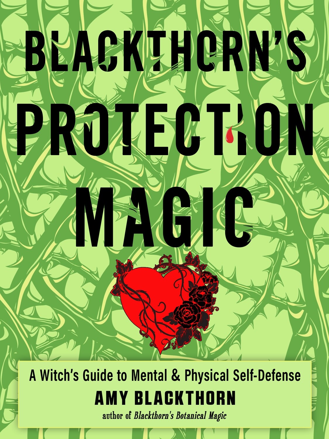 Blackthorn's Protective Magic: A Witch’s Guide to Mental and Physical Self-Defense