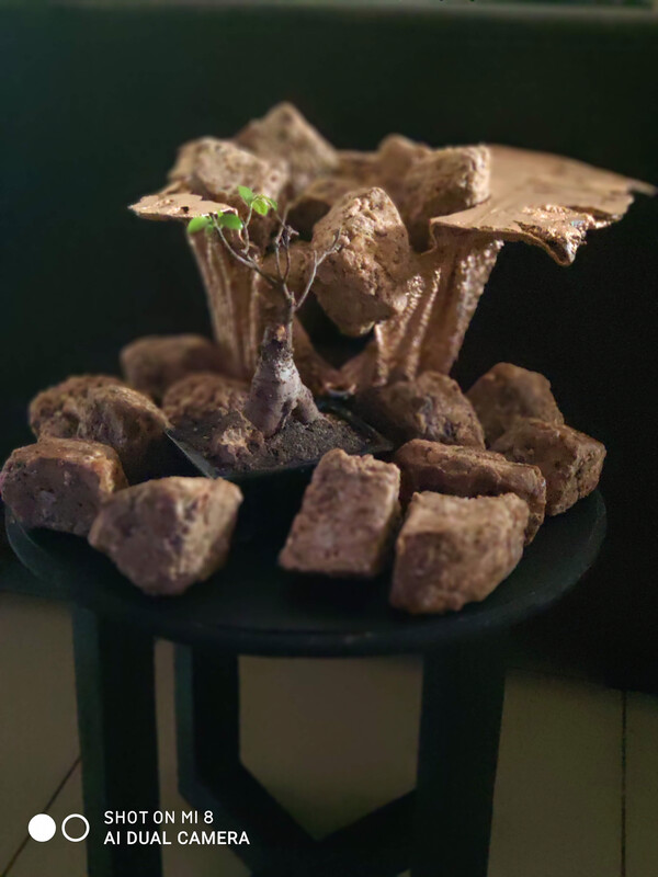 African Black Soap